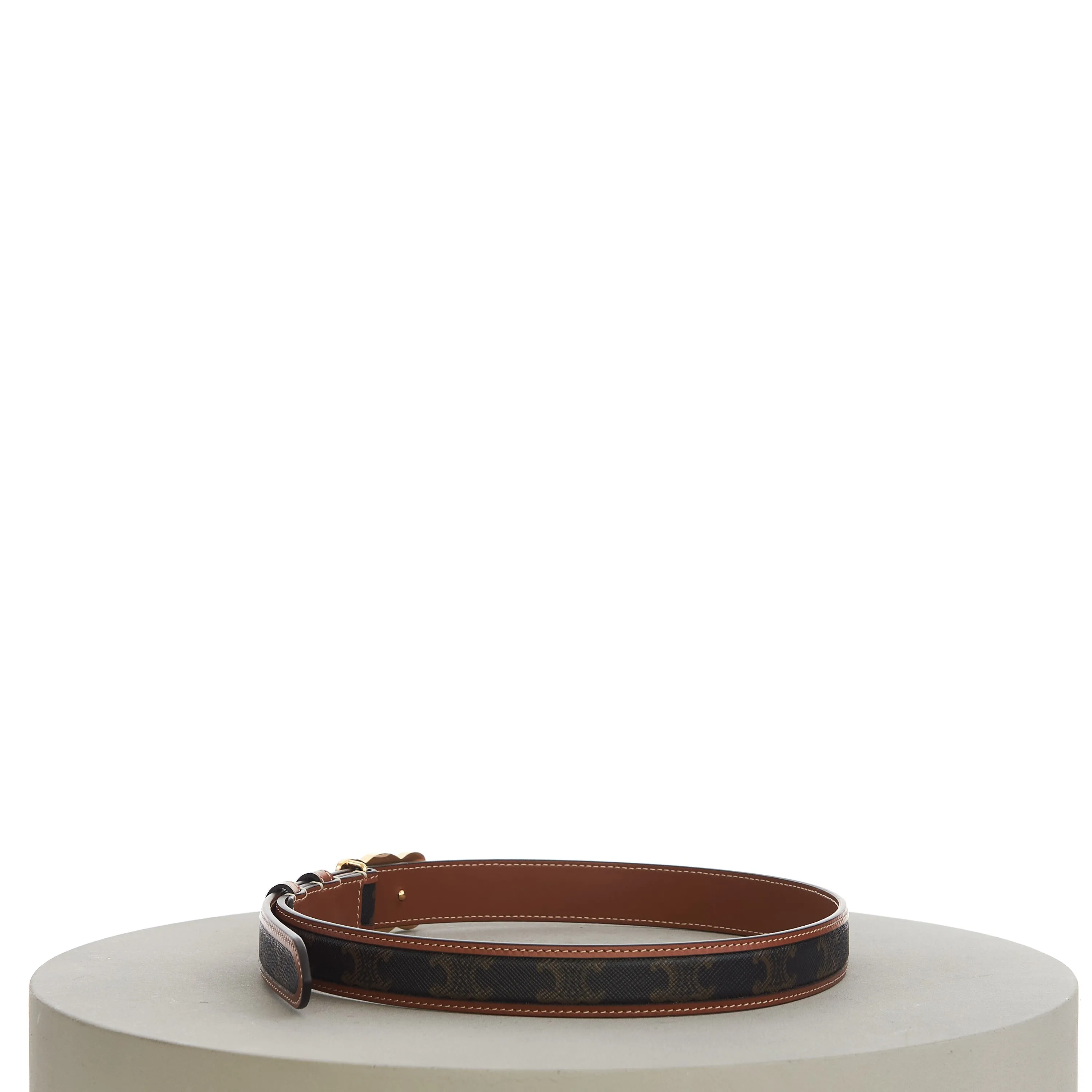 Medium With Border Triomphe Belt In Triomphe Canvas And Calfskin