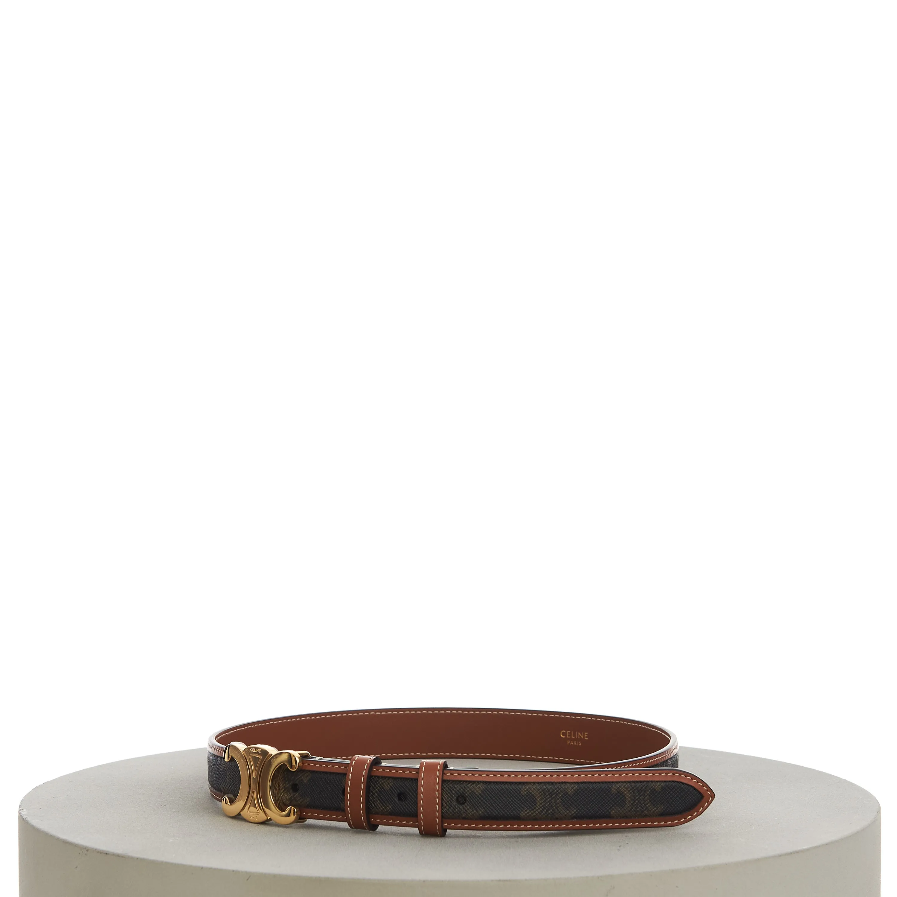 Medium With Border Triomphe Belt In Triomphe Canvas And Calfskin