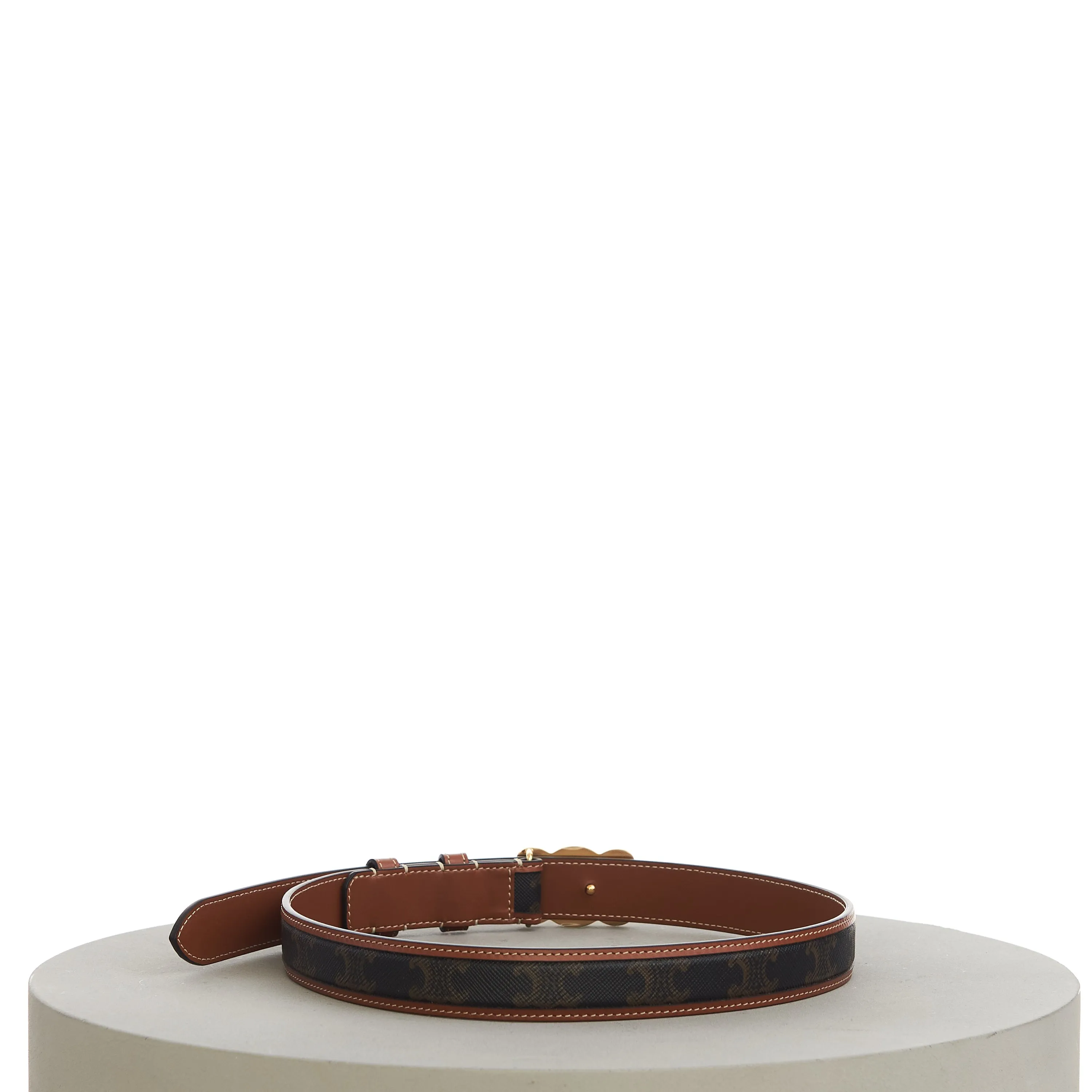 Medium With Border Triomphe Belt In Triomphe Canvas And Calfskin