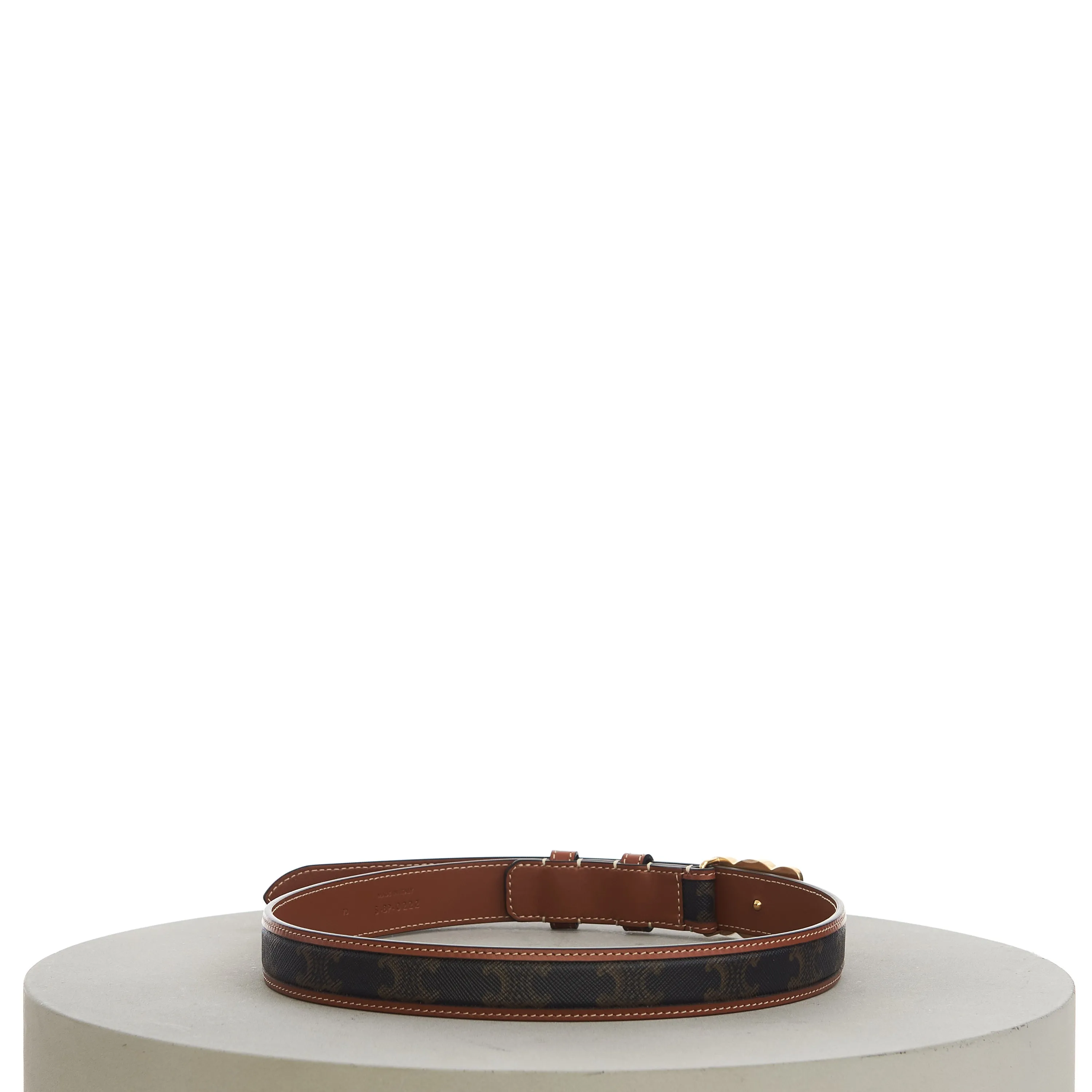 Medium With Border Triomphe Belt In Triomphe Canvas And Calfskin