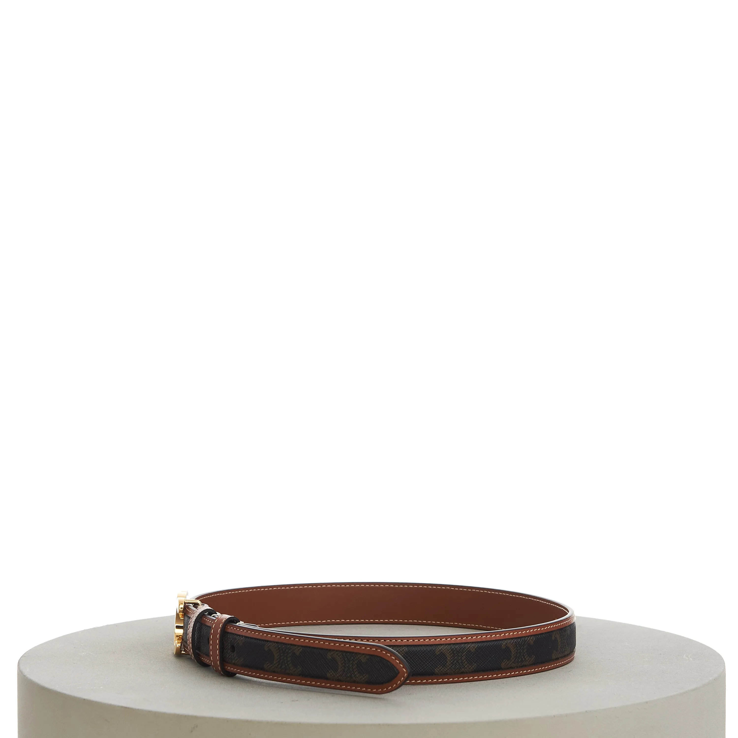 Medium With Border Triomphe Belt In Triomphe Canvas And Calfskin