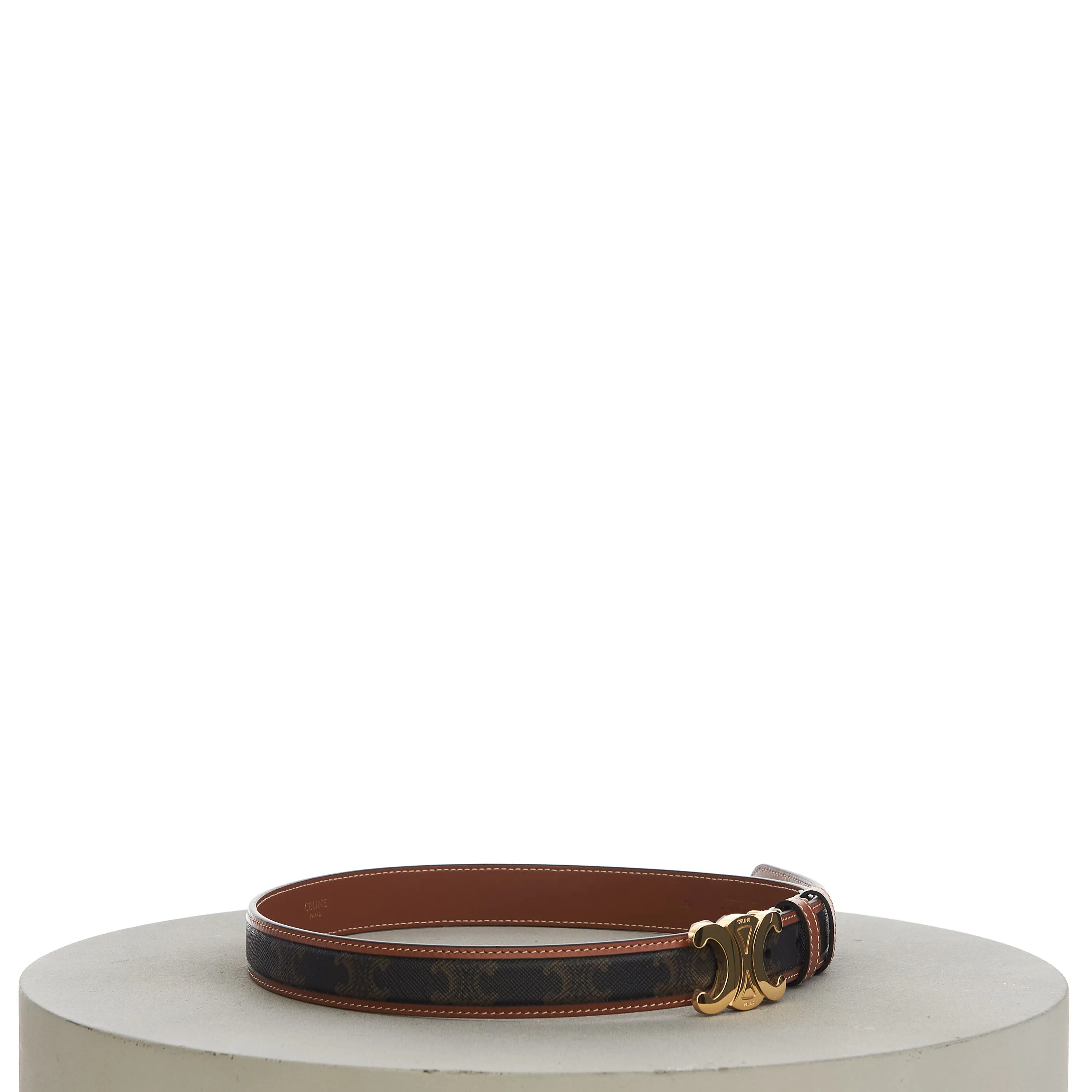 Medium With Border Triomphe Belt In Triomphe Canvas And Calfskin