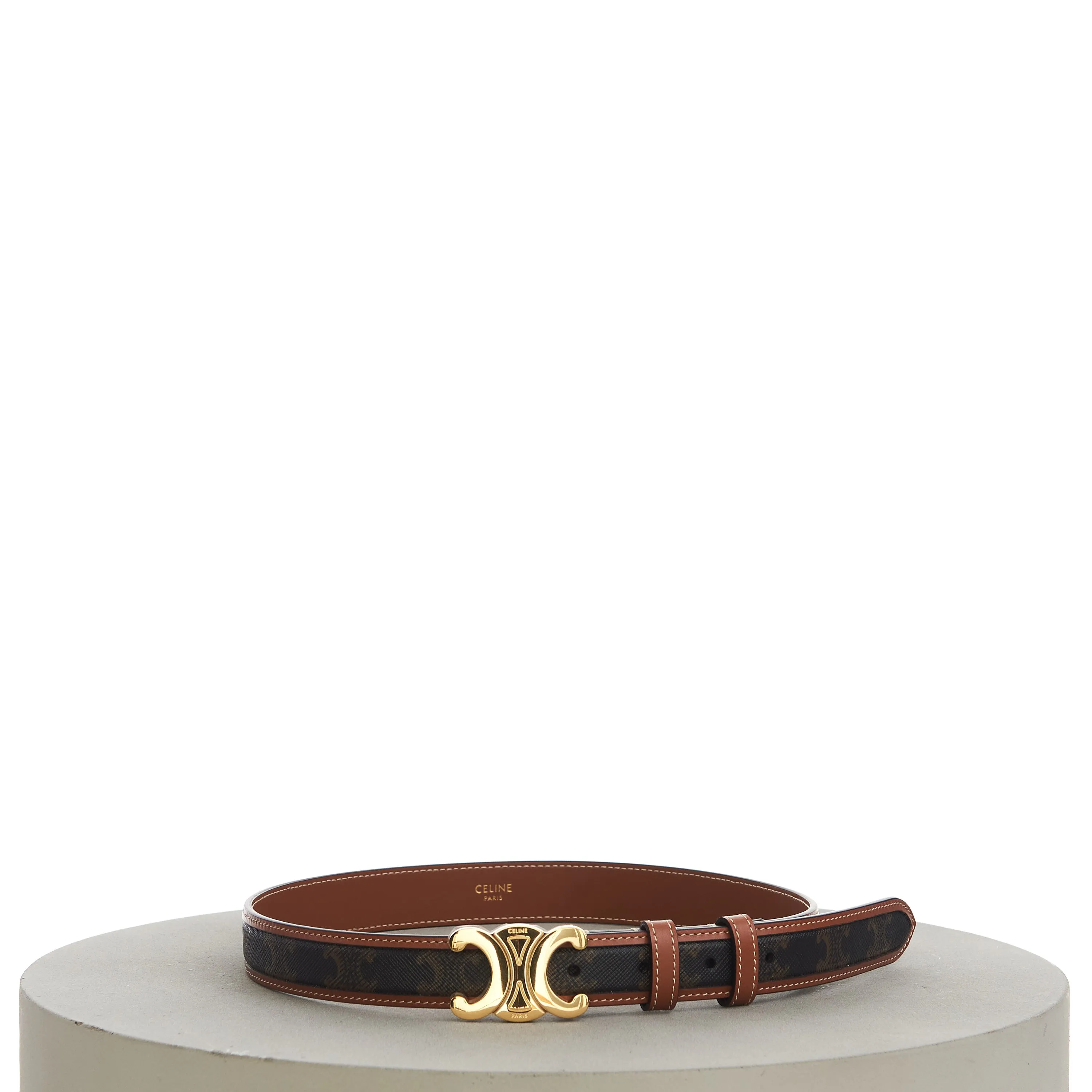 Medium With Border Triomphe Belt In Triomphe Canvas And Calfskin