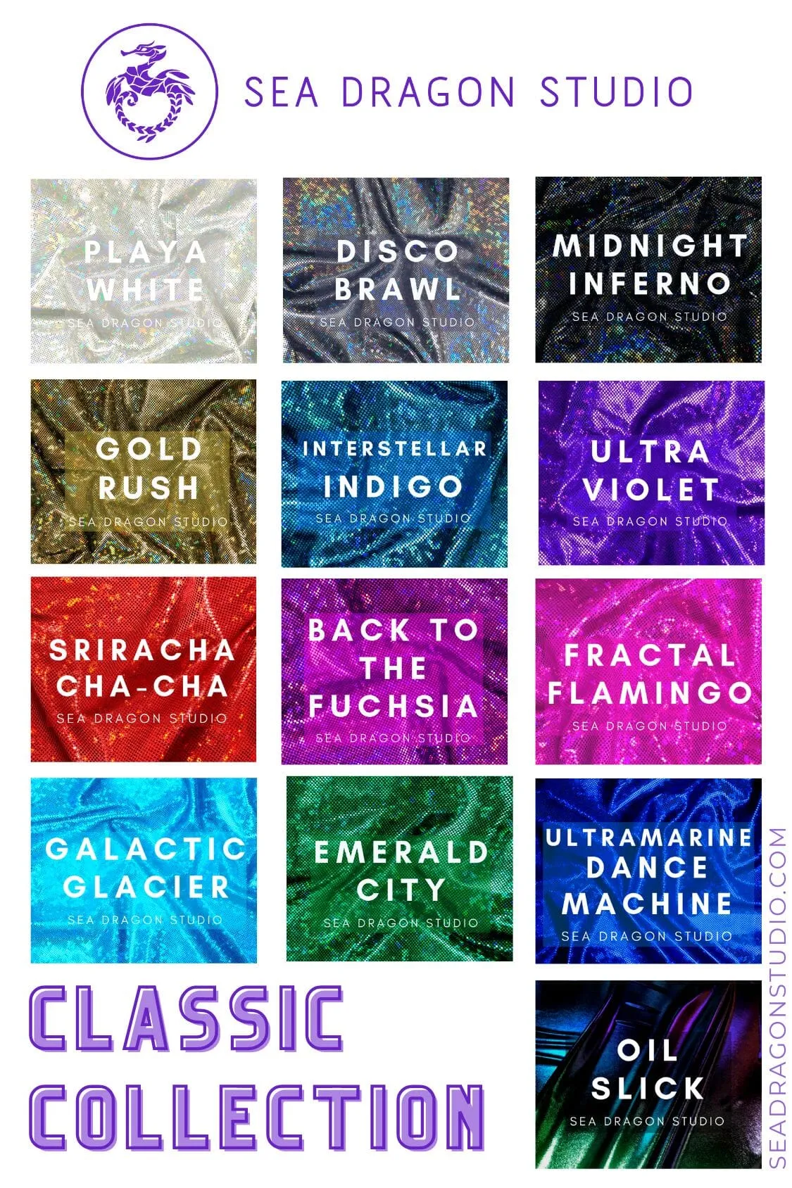 Mens Holographic Briefs | 13 Colors