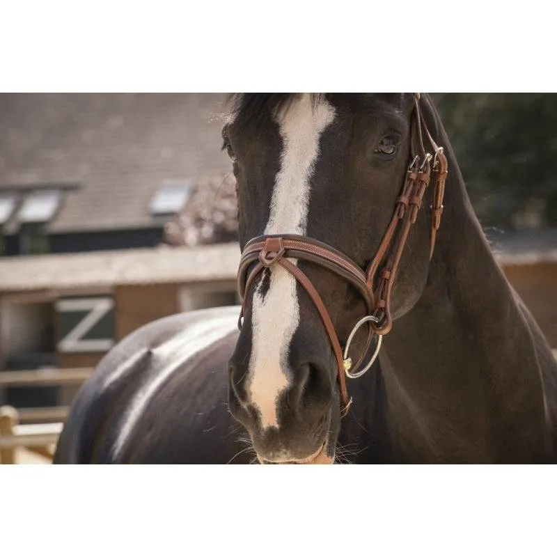 Pénélope - Smoothie Pearl Bridle