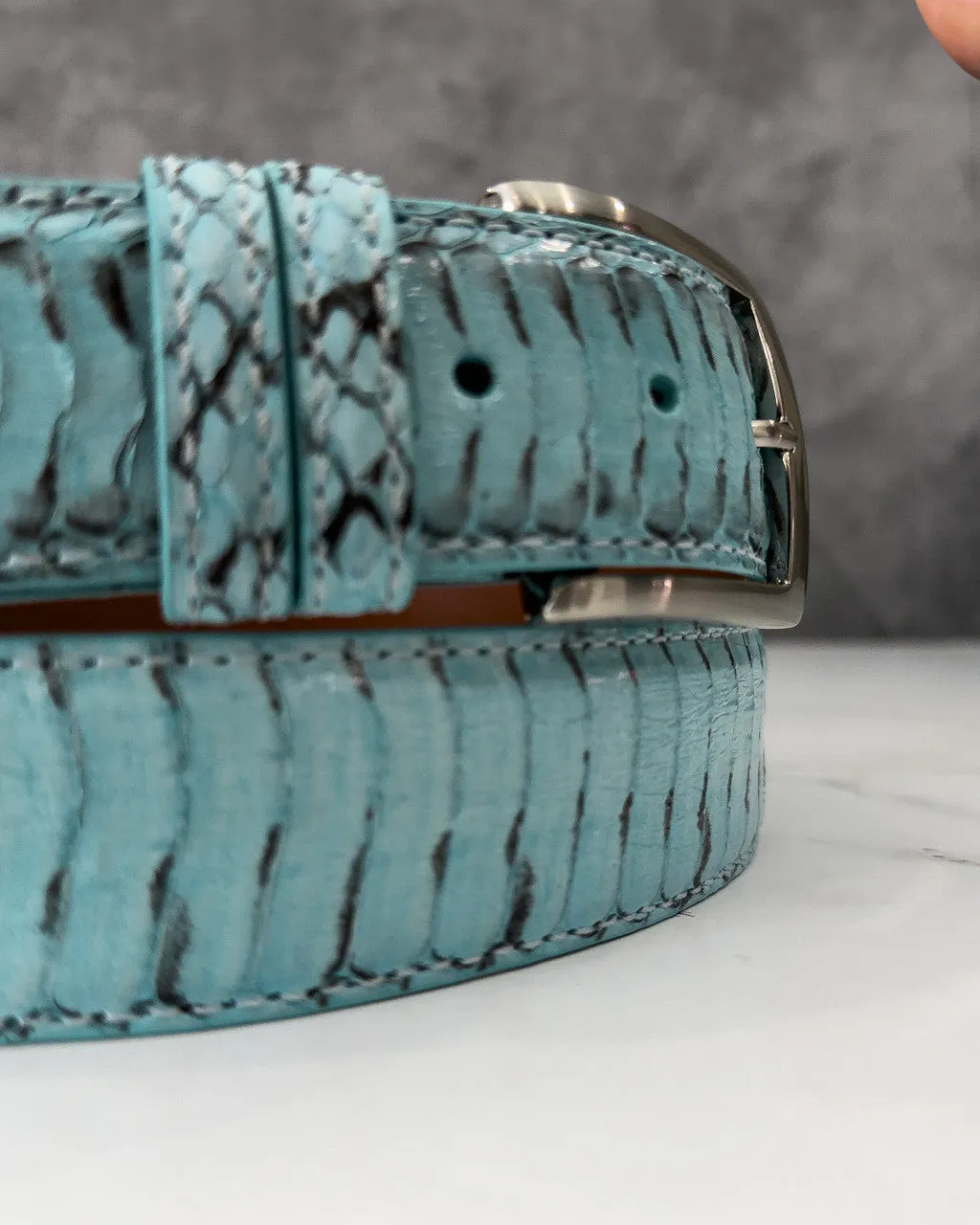 Spitting Cobra Back Cut Belt: Sky Blue