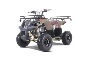 Tao D125 Youth ATV, Mid Size 107cc, Automatic Trans with reverse, Electric Start, Coil Over Shocks, Front and Rear Brakes, Remote Kill, Speed Limiter