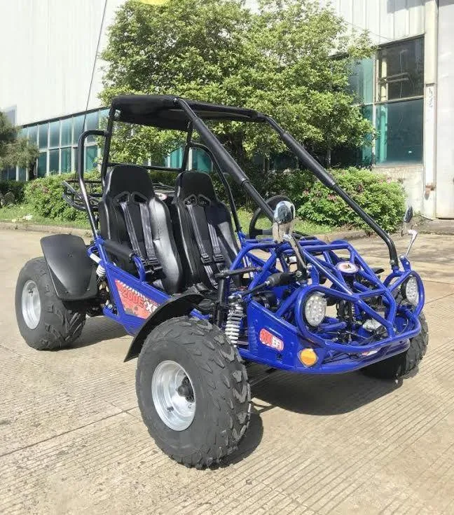Trailmaster 200E XRS EFI Buggy / Go Kart Full Size youth Adult Off road Go Kart, Adjustable Seat, Independent Front Suspension, Double A Arms,