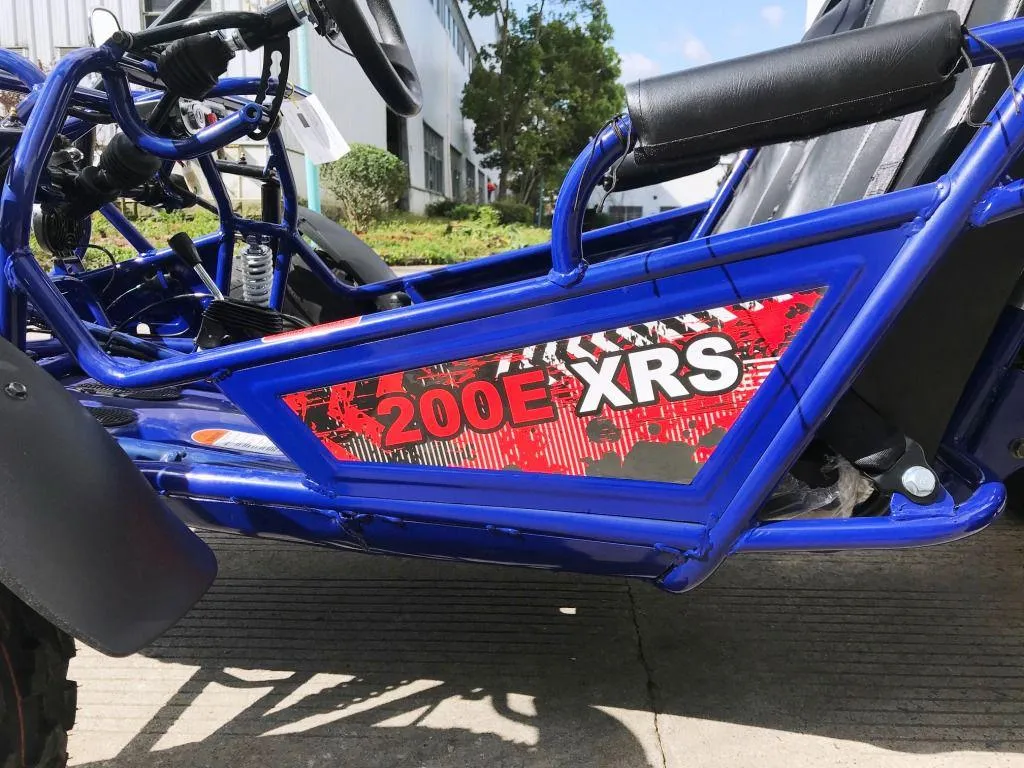 Trailmaster 200E XRS EFI Buggy / Go Kart Full Size youth Adult Off road Go Kart, Adjustable Seat, Independent Front Suspension, Double A Arms,