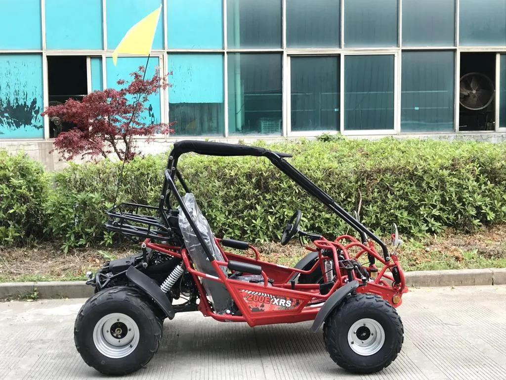 Trailmaster 200E XRS EFI Buggy / Go Kart Full Size youth Adult Off road Go Kart, Adjustable Seat, Independent Front Suspension, Double A Arms,