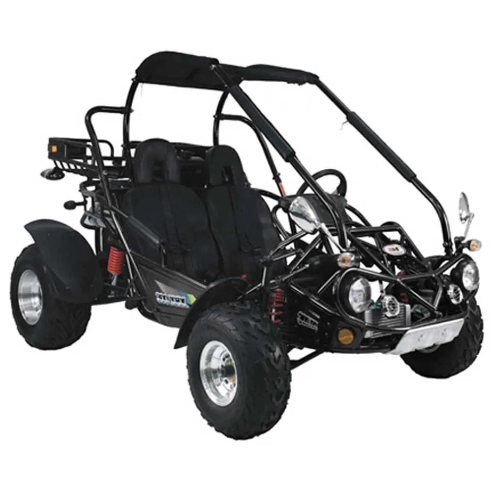TRAILMASTER 300XRX-E (EFI) Buggy / Go Kart  Water Cooled, Fuel Injected, Independent rear axles, Double A Arm Coil