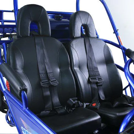 TRAILMASTER 300XRX-E (EFI) Buggy / Go Kart  Water Cooled, Fuel Injected, Independent rear axles, Double A Arm Coil