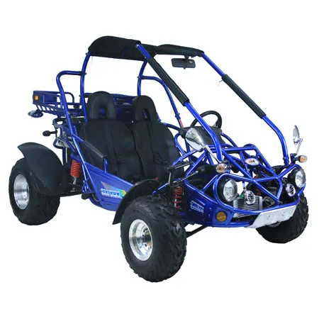 TRAILMASTER 300XRX-E (EFI) Buggy / Go Kart  Water Cooled, Fuel Injected, Independent rear axles, Double A Arm Coil