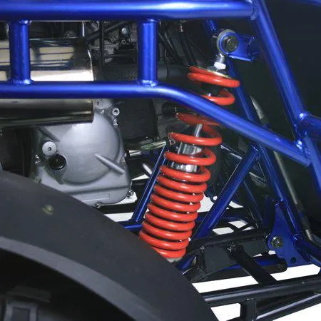 TRAILMASTER 300XRX-E (EFI) Buggy / Go Kart  Water Cooled, Fuel Injected, Independent rear axles, Double A Arm Coil