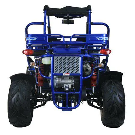 TRAILMASTER 300XRX-E (EFI) Buggy / Go Kart  Water Cooled, Fuel Injected, Independent rear axles, Double A Arm Coil