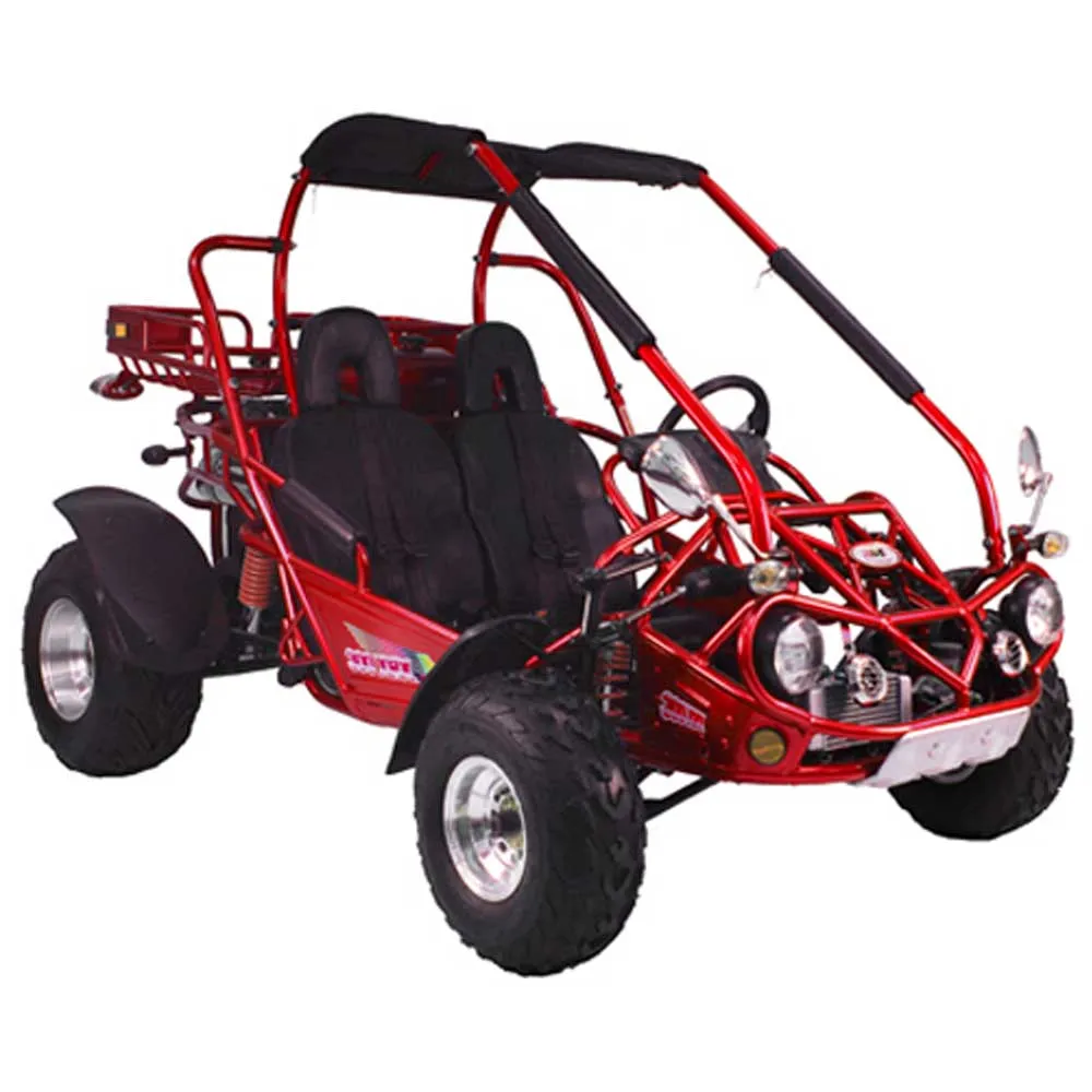 TRAILMASTER 300XRX-E (EFI) Buggy / Go Kart  Water Cooled, Fuel Injected, Independent rear axles, Double A Arm Coil